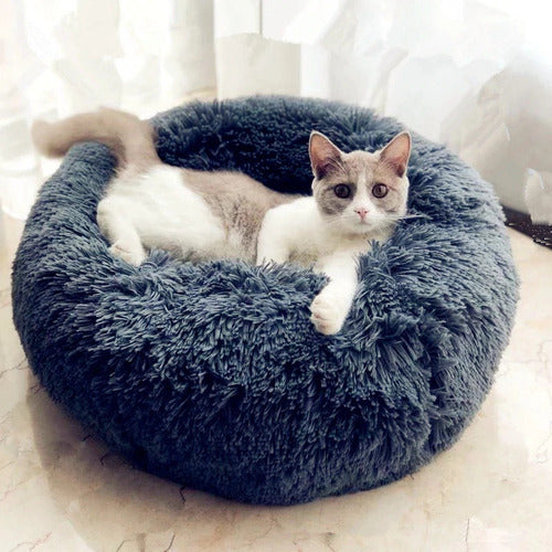 Pet Bed