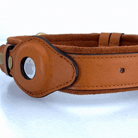 Leather AirTag Dog Collar